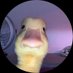 Alexander Warren Hughes (@brionyisol43959) Twitter profile photo Alexander Warren Hughes (@brionyisol43959) Twitter profile photo