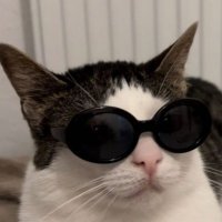여온 (@yeo_onv) 's Twitter Profile