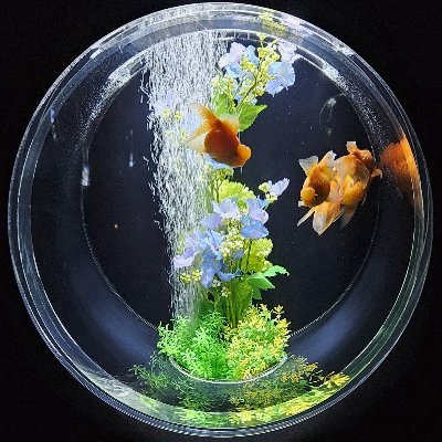 ken91107's profile picture. 