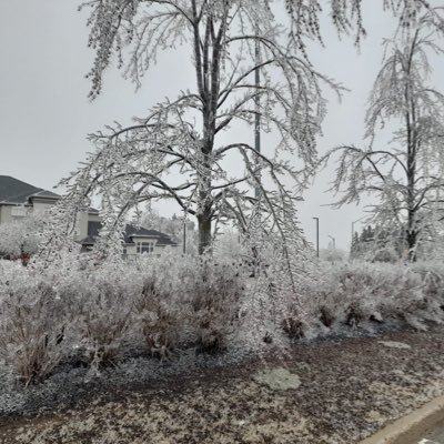 trumpwomen239's profile picture. MAGA🇺🇸 women supporting a conservative America and the true freedom of America!