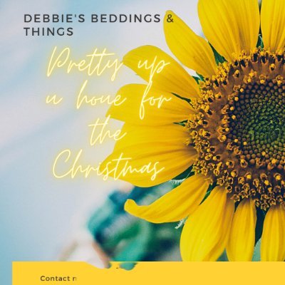 DebbieS20113205's profile picture. Businesswoman
