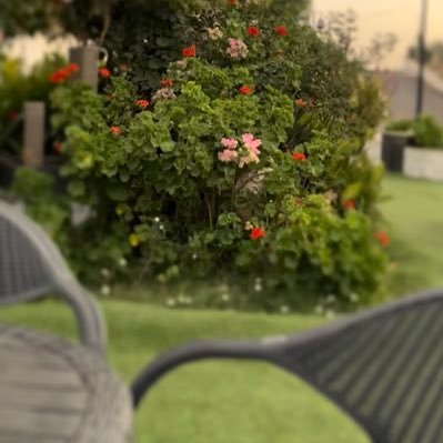 wafaa902172's profile picture. الحـــمدلله حمداً يليق بجلال وجهه وعظيم سلطانه"🕊️💕