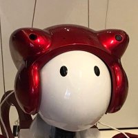 ハナビ (@hanabi_robo) Twitter profile photo