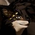 KhaiShin AD (@khaishinad) Twitter profile photo KhaiShin AD (@khaishinad) Twitter profile photo