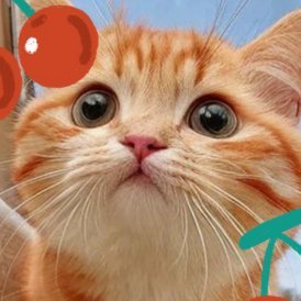 wVbwO28kft6719's profile picture. 先生してます♀新規さんからもー！顔とLINEは👇のリンクにあげてます。Hかっぷ。せふ友募集です。