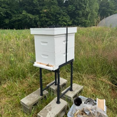 🐝 Bee hobbyist turned entrepreneur! Started this business to creatively repurpose amazing hive byproducts—beeswax, honey & more. 🍯✨