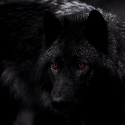 17yo ⎇ alterhuman ╶⃝⃤ therian ★ autistic , he it ꩜ 𐂯