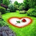 Knies Otis - @KniesOtis79174 - Twitter