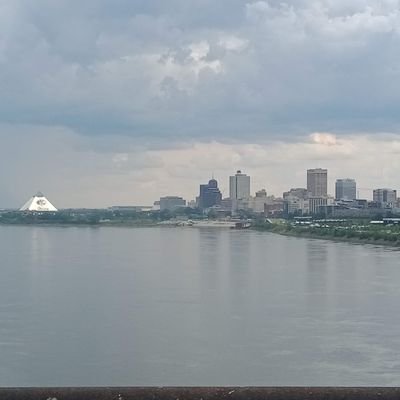 wbridges78's profile picture. Go Grizz! 🐻 Go Tigers! 🐯