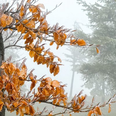 bwmmd350112's profile picture. الهروب من الواقع لا يعني التناقض 🇴🇲