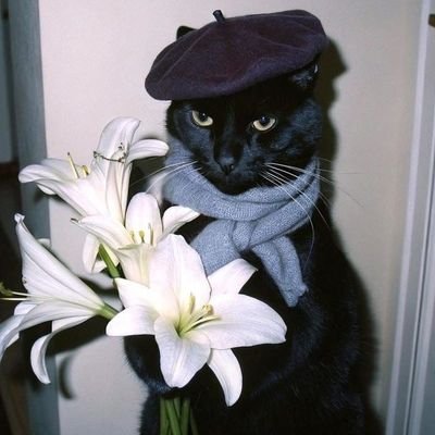 michelle35gr's profile picture. me gusta twitter porque me ignoran