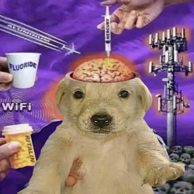 OxideF79553's profile picture. 