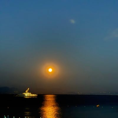 uniqpov's profile picture. irrational optimist