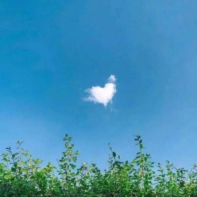 Letoi41405176's profile picture. I enjoy looking for constellations—little treasures scattered across the night sky.