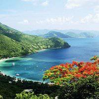 Vinhtcbn1's profile picture. I support local farmers—buying fresh produce helps sustain small communities.