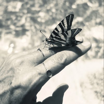 Amayaia's profile picture. Entramos en los 47 ganando o empatando siempre. Madre de 3💕