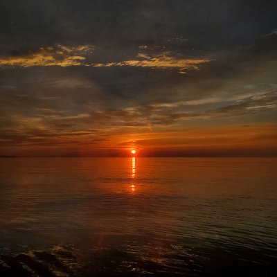 All2welltays's profile picture. 🇺🇲Stand With America🇺🇸
🧡Loves Taylor and her pop girlies🧡
✨️The Life of A Showgirl ✨️
MAGA✊️🇺🇸
Jesus is Lord and Savior ✝️
LGBTQ+ and Islam needs to go❤