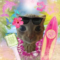 ep!ng (@momuwiee) 's Twitter Profile