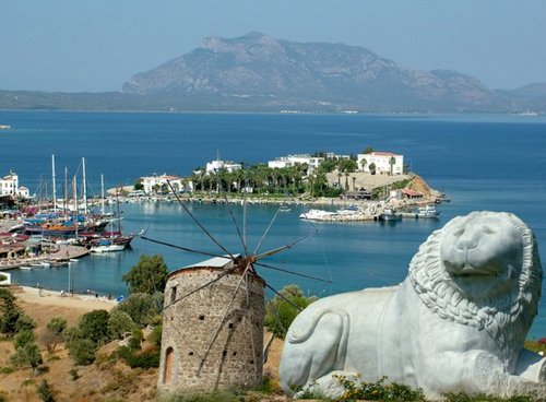 fanofdatca's profile picture. 