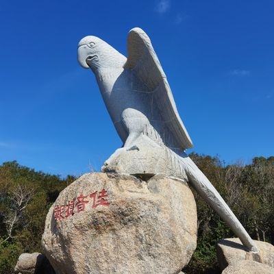 cr33366681442's profile picture. 本人是一位退休人员！但积极努力的做好每一件事！