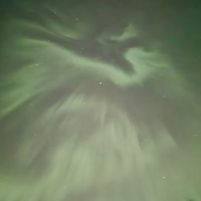 zevarsk's profile picture. 