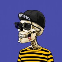 Echo (@echoes_arif) 's Twitter Profile Photo Echo (@echoes_arif) 's Twitter Profile Photo