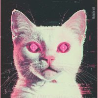 ✮𝙼𝚘𝚡𝚡𝚒𝚎✮ (@binubinx2) 's Twitter Profile