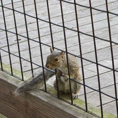 BlGTRES's profile picture. H&H