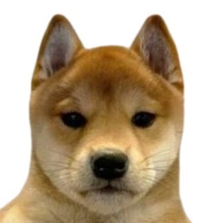 MROFIH69's profile picture. DOG Token: https://t.co/hPkRM8GXP8

DOG X: achidogonbags
Please follow the main account.