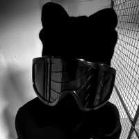 Raven (@fn3raven) 's Twitter Profile