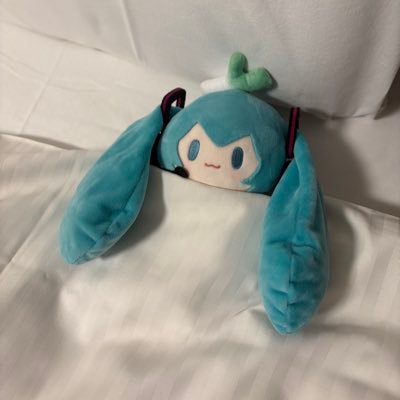 pri_pr1's profile picture. ずっとミクを愛してる。限界飲酒成人女性。次のミライ→ローミク両日