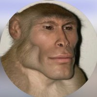 No Excuses (@zeroe2101) 's Twitter Profile