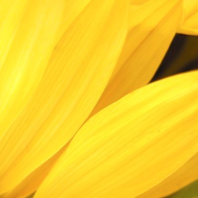 NotAzureSaturn's profile picture. just a guy that does random stuff on the internet