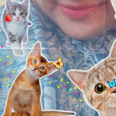 Hformyname's profile picture. 🐥ini tehun
🐶ini nono
🩵ini kayin
🎸🦕💂‍♂️🫧ini wontonsohan
🏢ini kwangya
💙ini bluesy