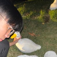 โอโซนที่อยู่บนอากาศ (@qtkapipapa) 's Twitter Profile