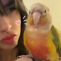 Aki (@woahanito) 's Twitter Profile Photo Aki (@woahanito) 's Twitter Profile Photo