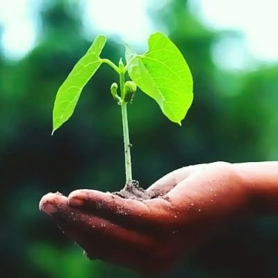 Born&Living in 🇮🇳|
CBSE Grad 🎓| 17 y/o 🥳|Reformist🏛️|Atheist ⚛️|Space Enthusiast🚀|Progress in Action⚡|Meaningful Change🌍|Centric⚖️|