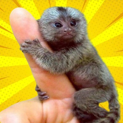 FingerMonkey π Finger It Out β’οΈ Profile