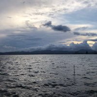 ゆめゆめ (@akekonoosi) Twitter profile photo