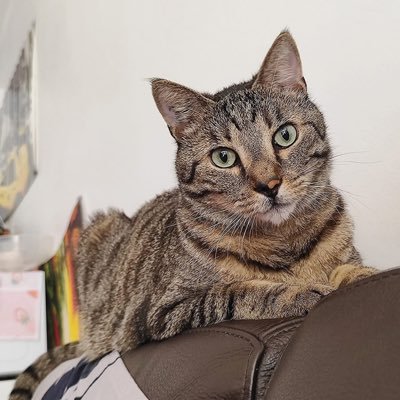 Corinnemun56299's profile picture. souriante