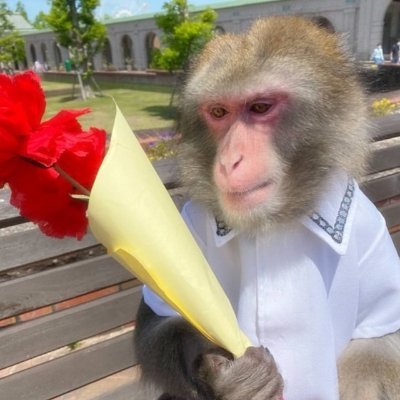 albertocalls's profile picture. Shitcoin Trader ( https://t.co/twbvzcb58R )
https://t.co/6PB8k8suV1

https://t.co/3tW7fOZ85Z