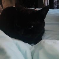 DragY (@dragony_v) 's Twitter Profile Photo DragY (@dragony_v) 's Twitter Profile Photo