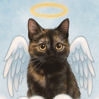 Philosophia (@feylese) 's Twitter Profile
