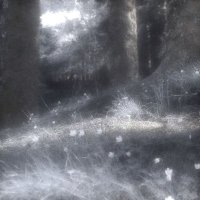 ; (@dreamcoreme) 's Twitter Profile Photo ; (@dreamcoreme) 's Twitter Profile Photo
