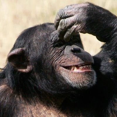 DjejxSjjs11300's profile picture. 