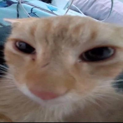 myballsitch090's profile picture. 19, ro gooner👅👅👅