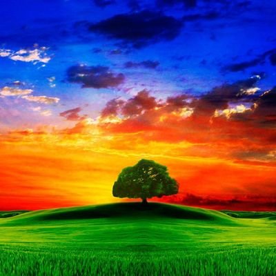 zombie167532's profile picture. ordinary person