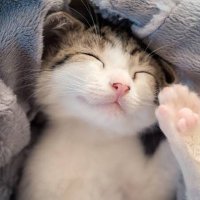 mahiro (@moamoa233748179) 's Twitter Profile Photo