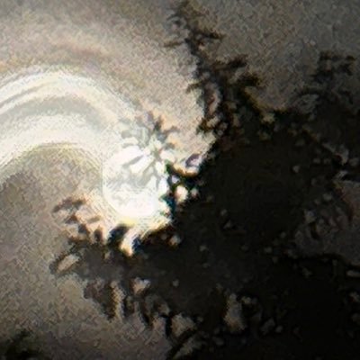 ea_guldhammer's profile picture. 