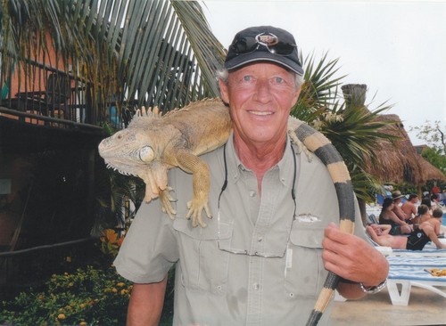 mpservices's profile picture. 